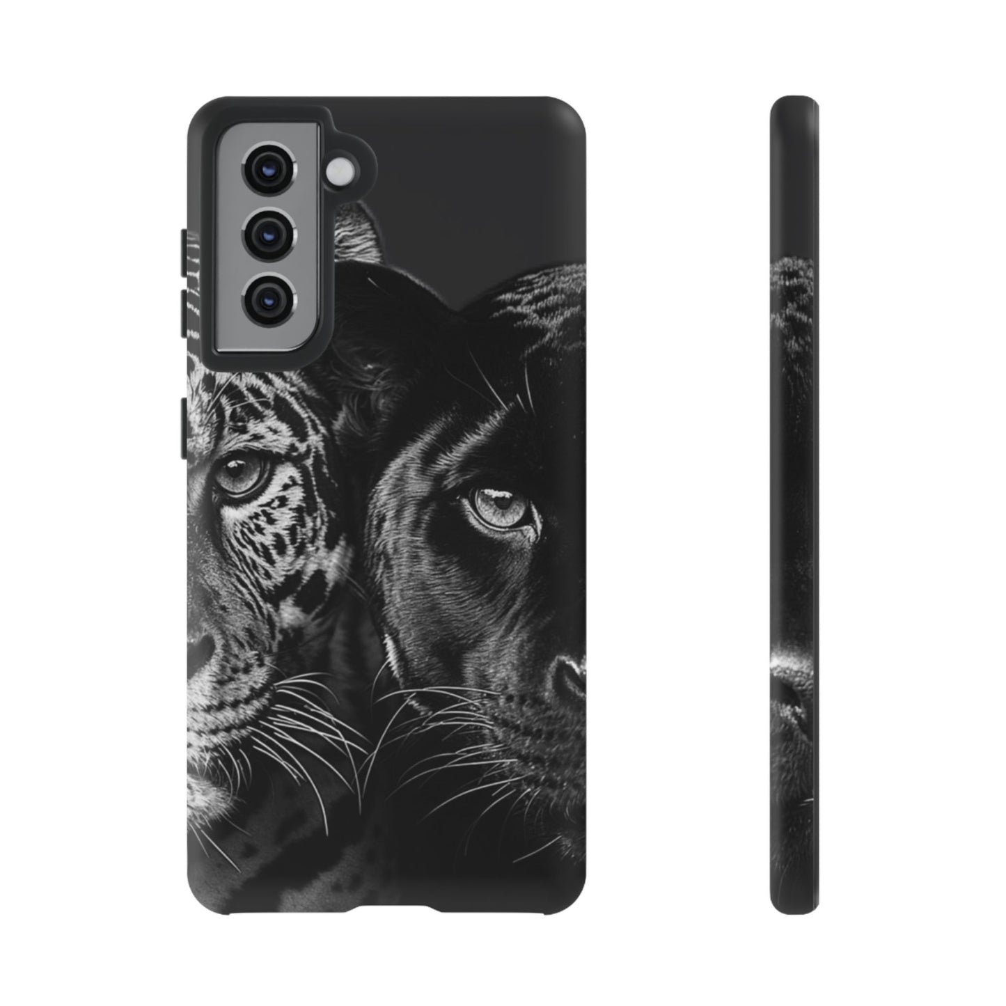 Panthera