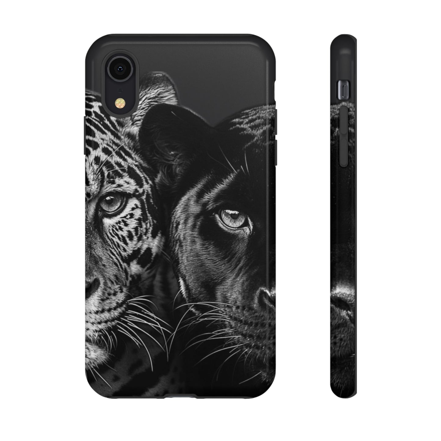 Panthera
