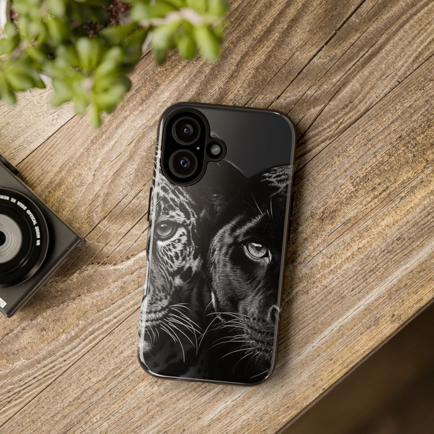 Panthera