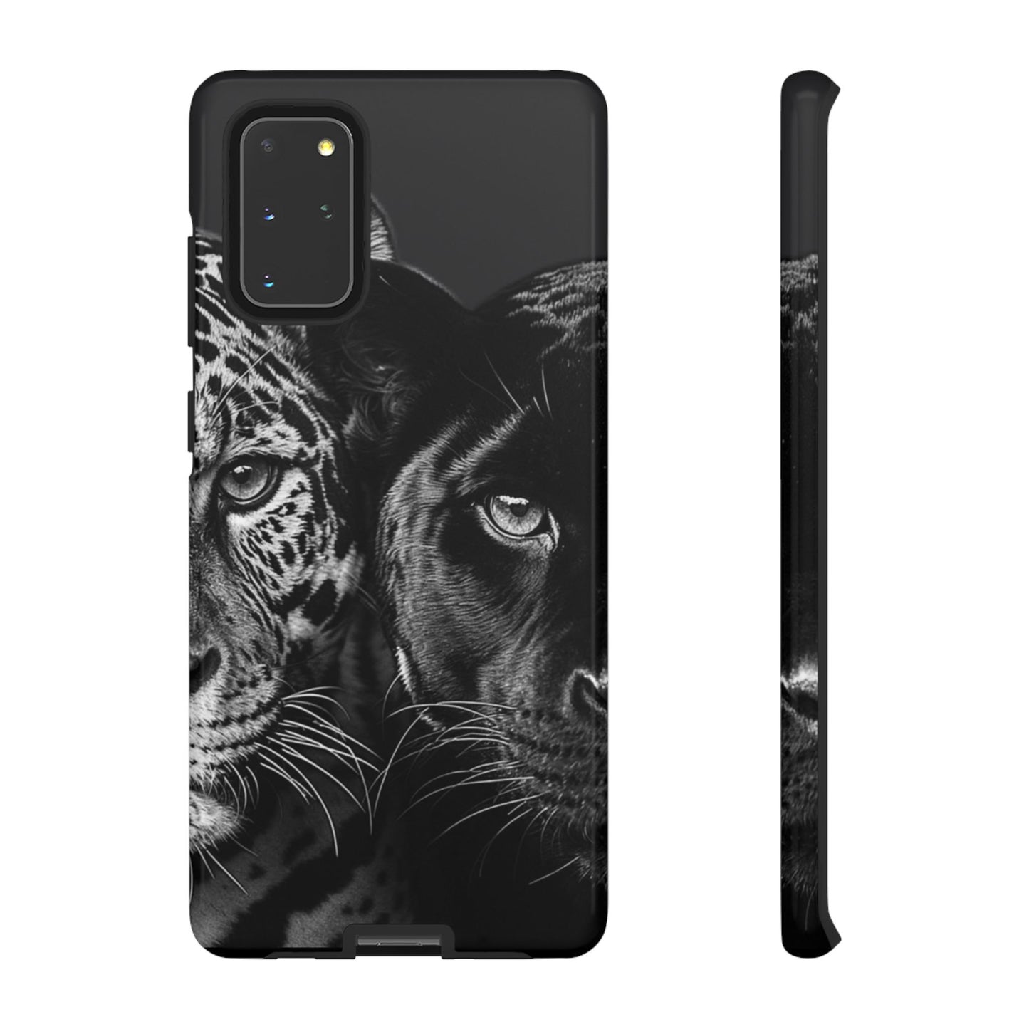 Panthera