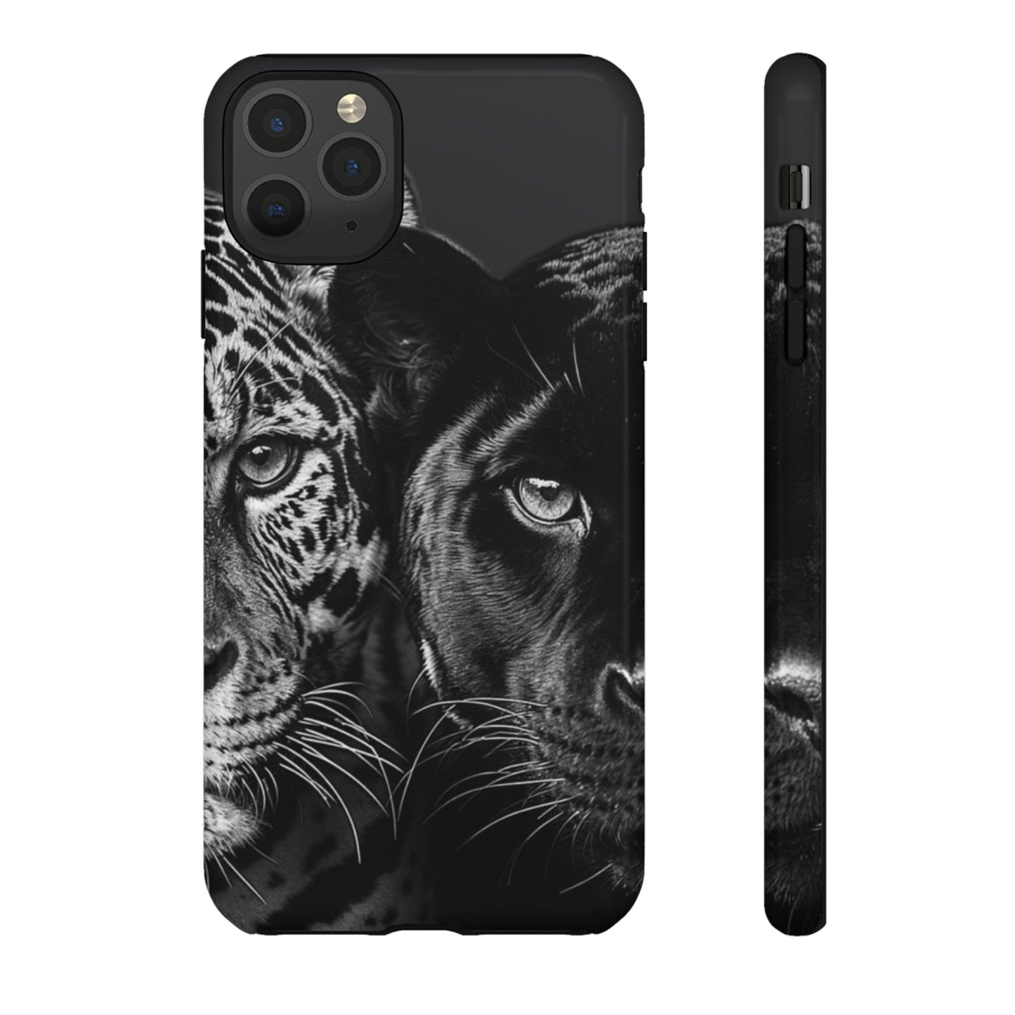 Panthera