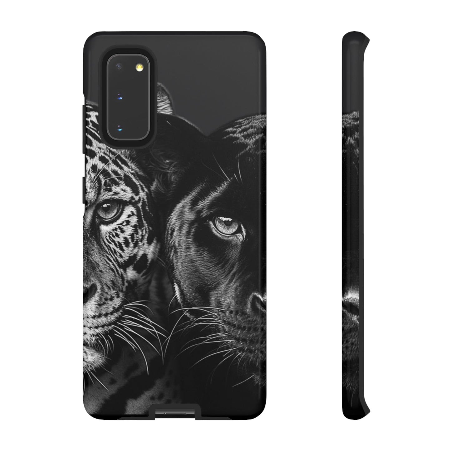 Panthera
