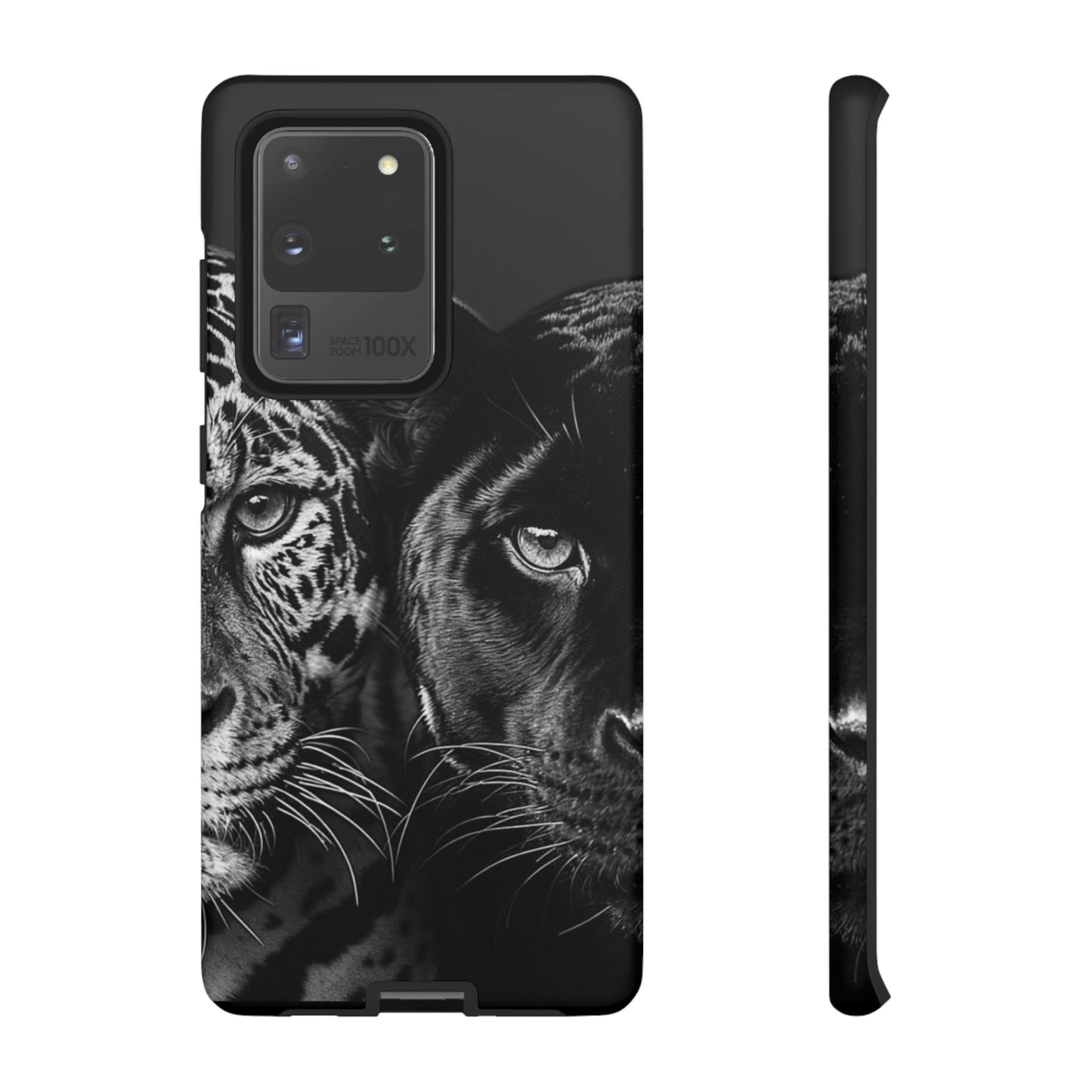 Panthera