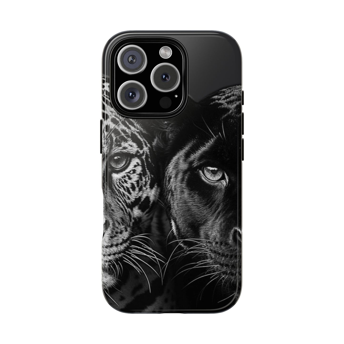 Panthera