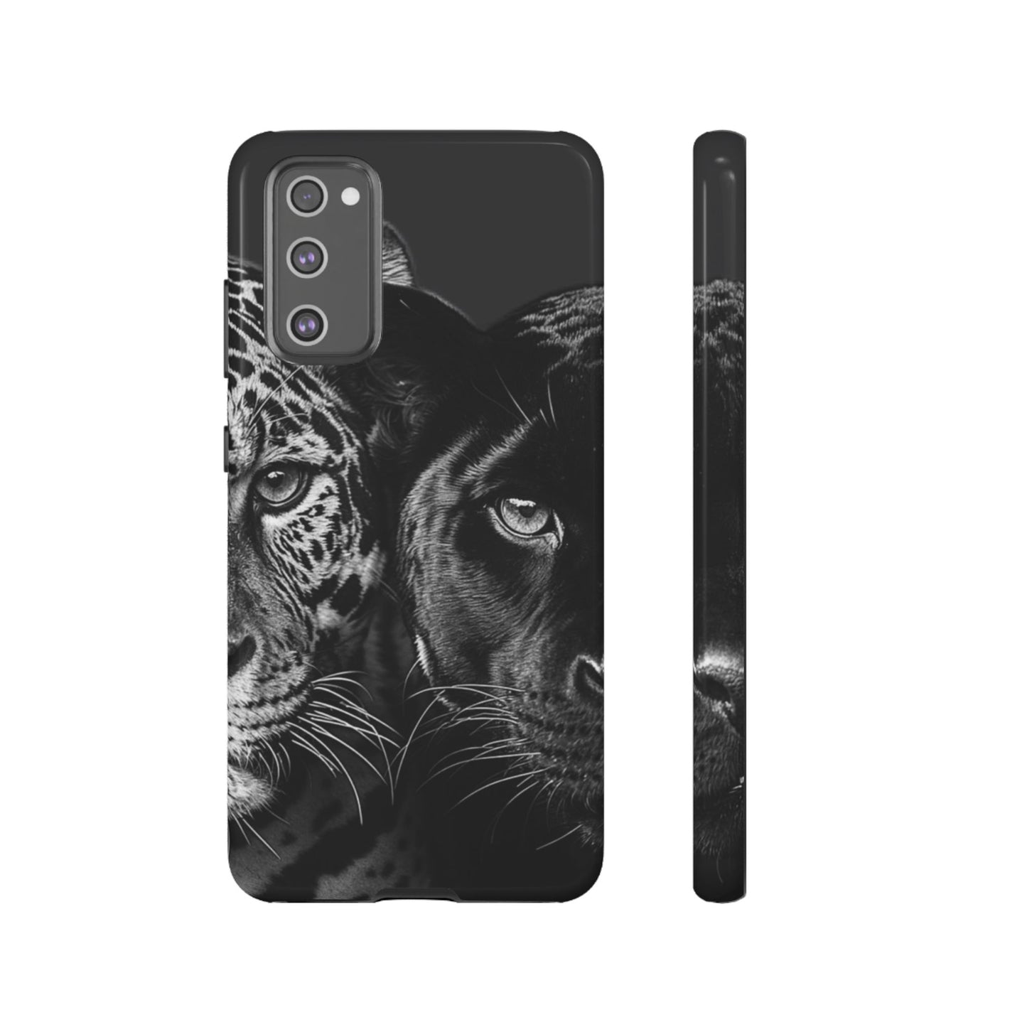 Panthera