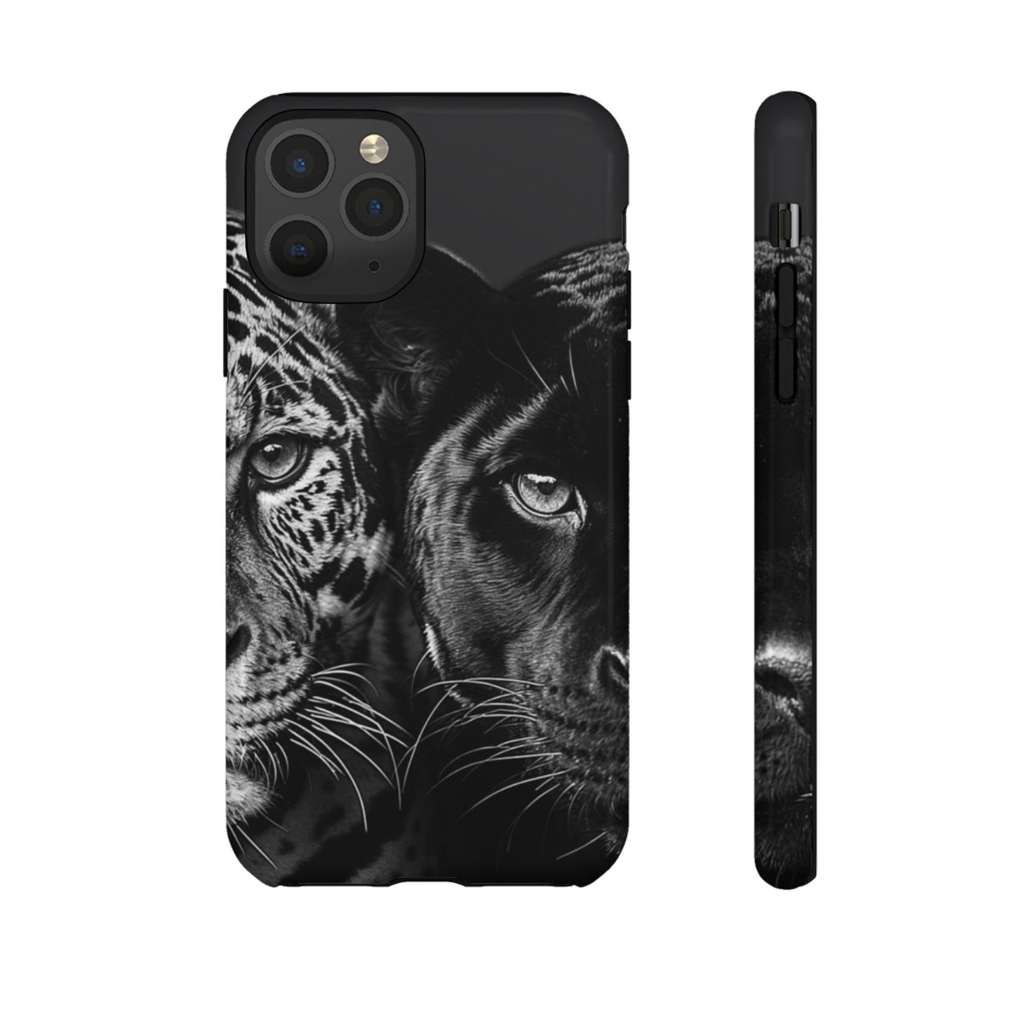 Panthera