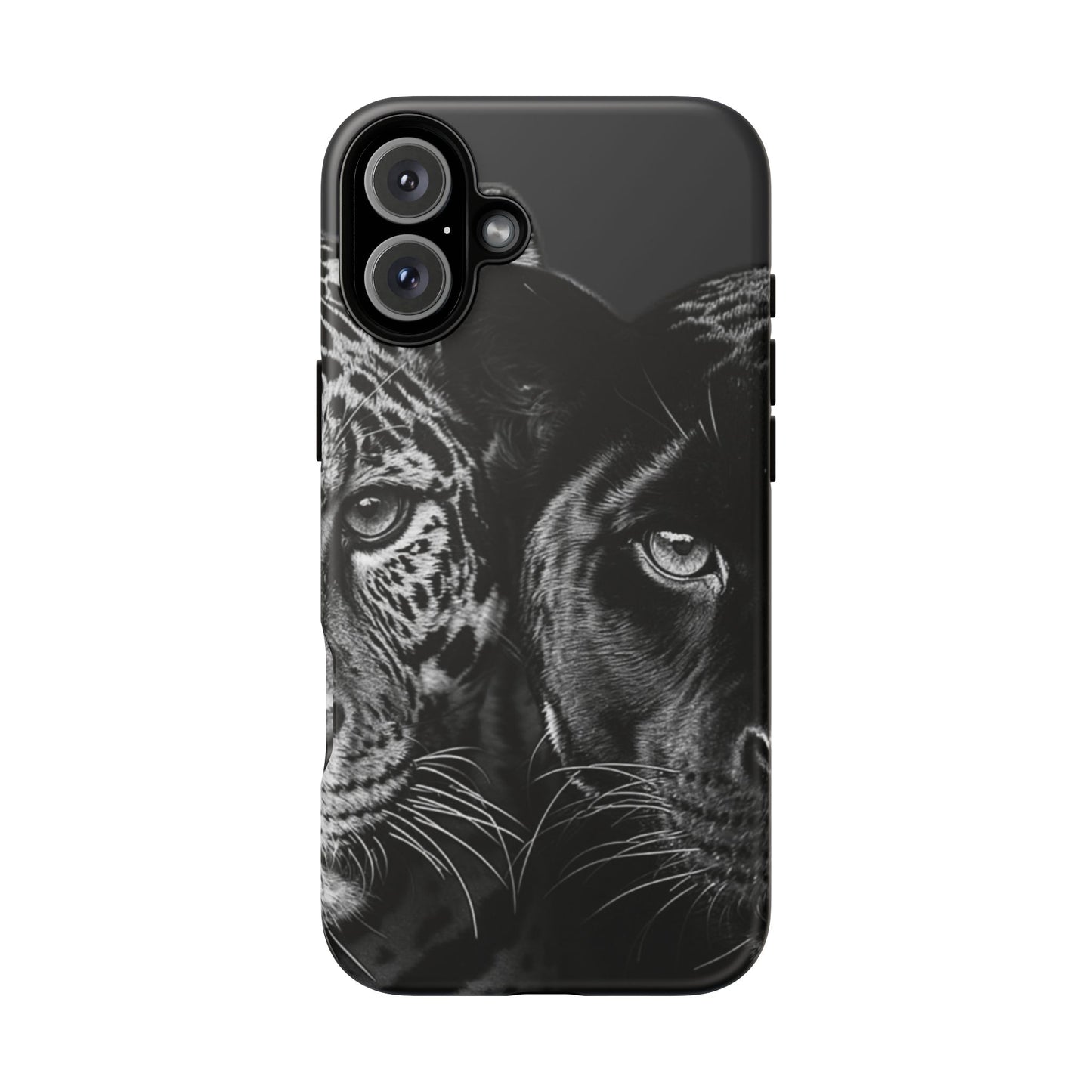 Panthera