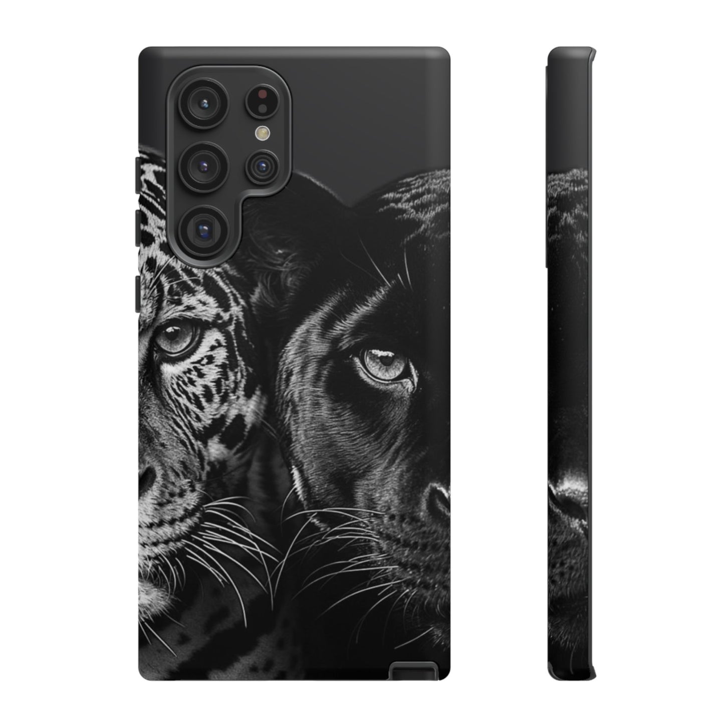 Panthera