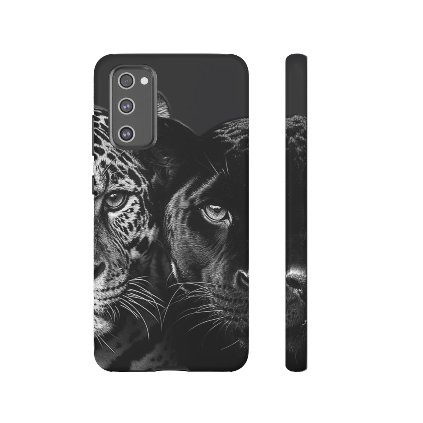 Panthera