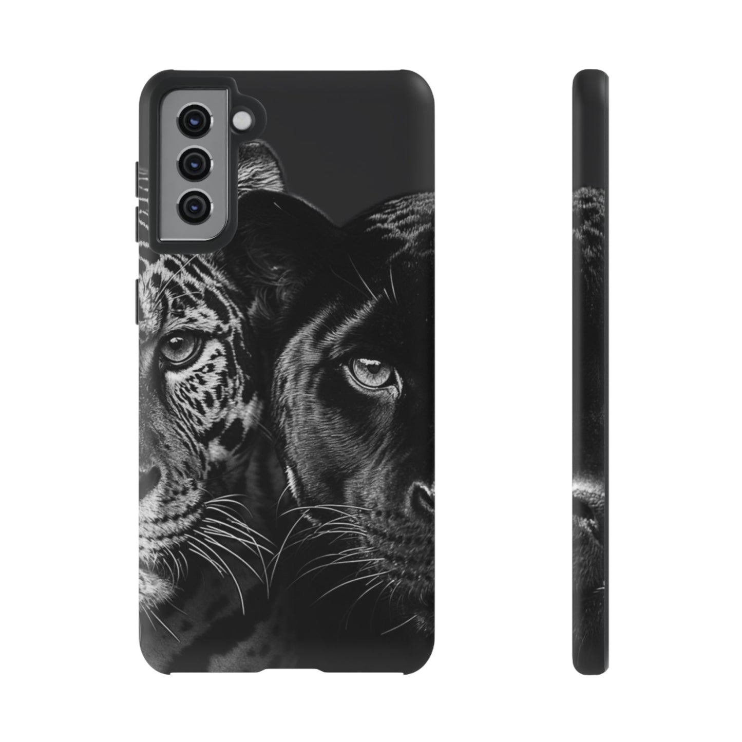 Panthera