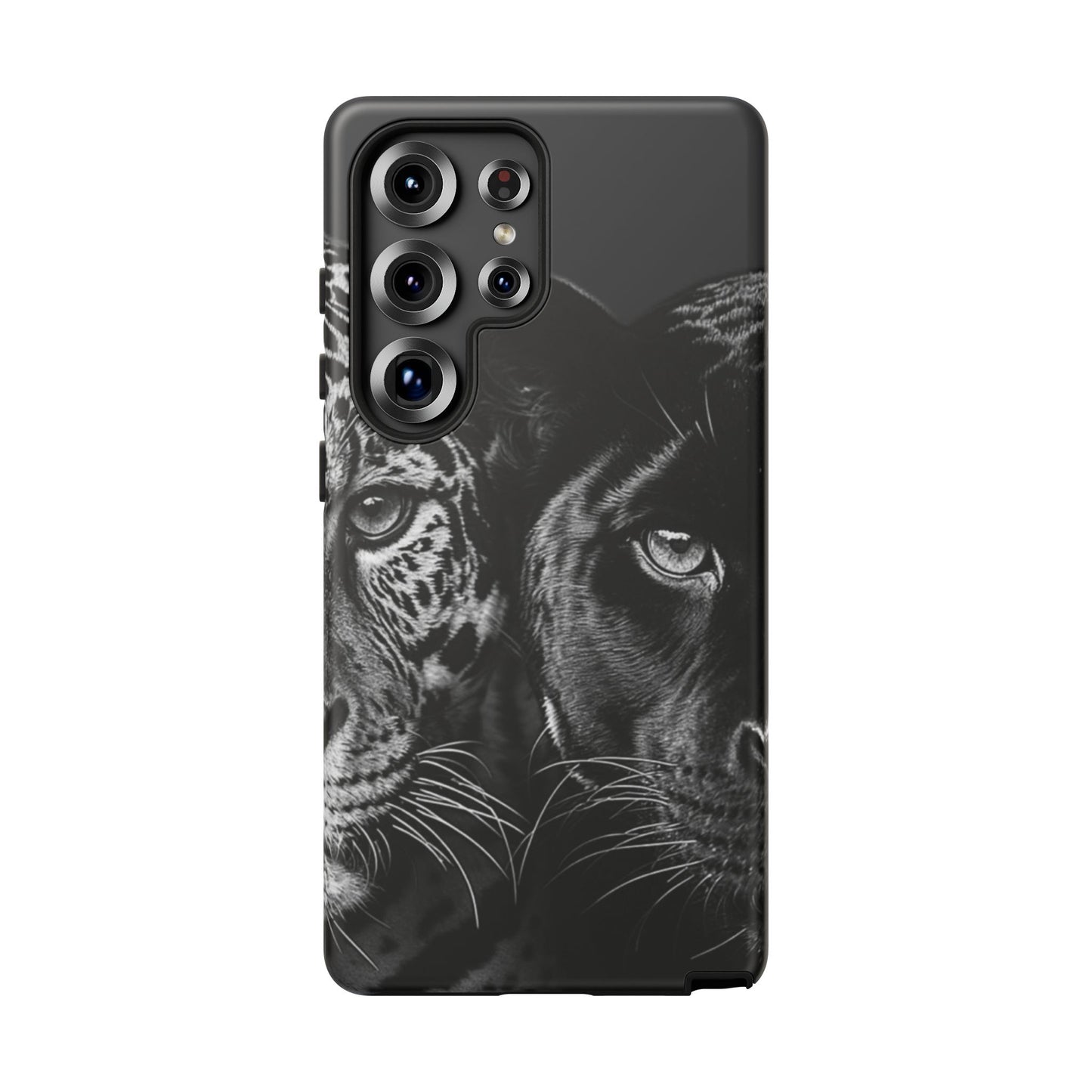 Panthera