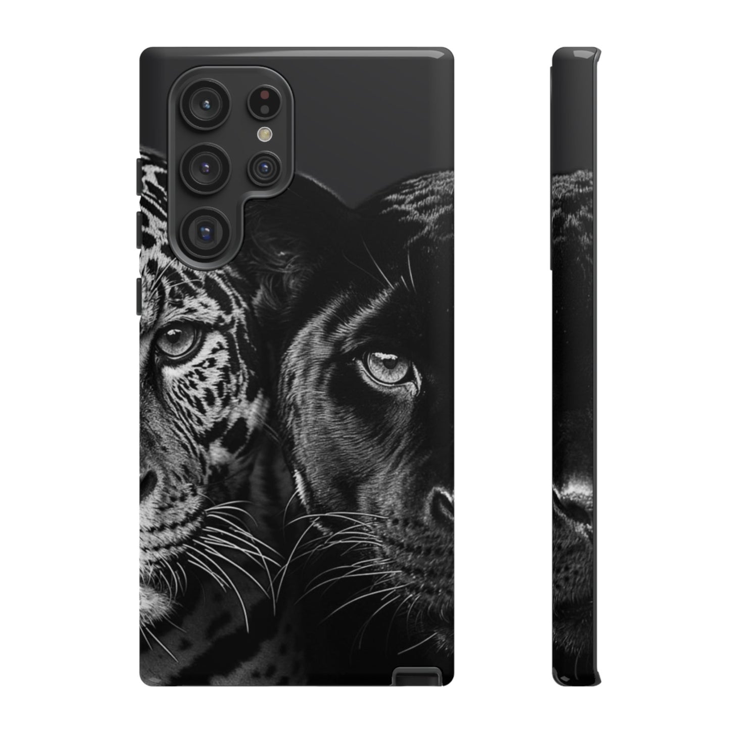 Panthera