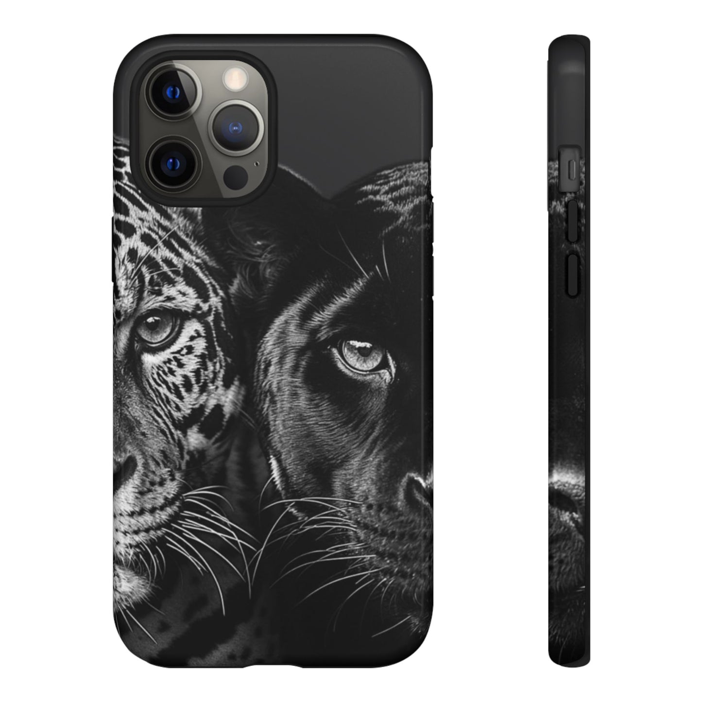 Panthera