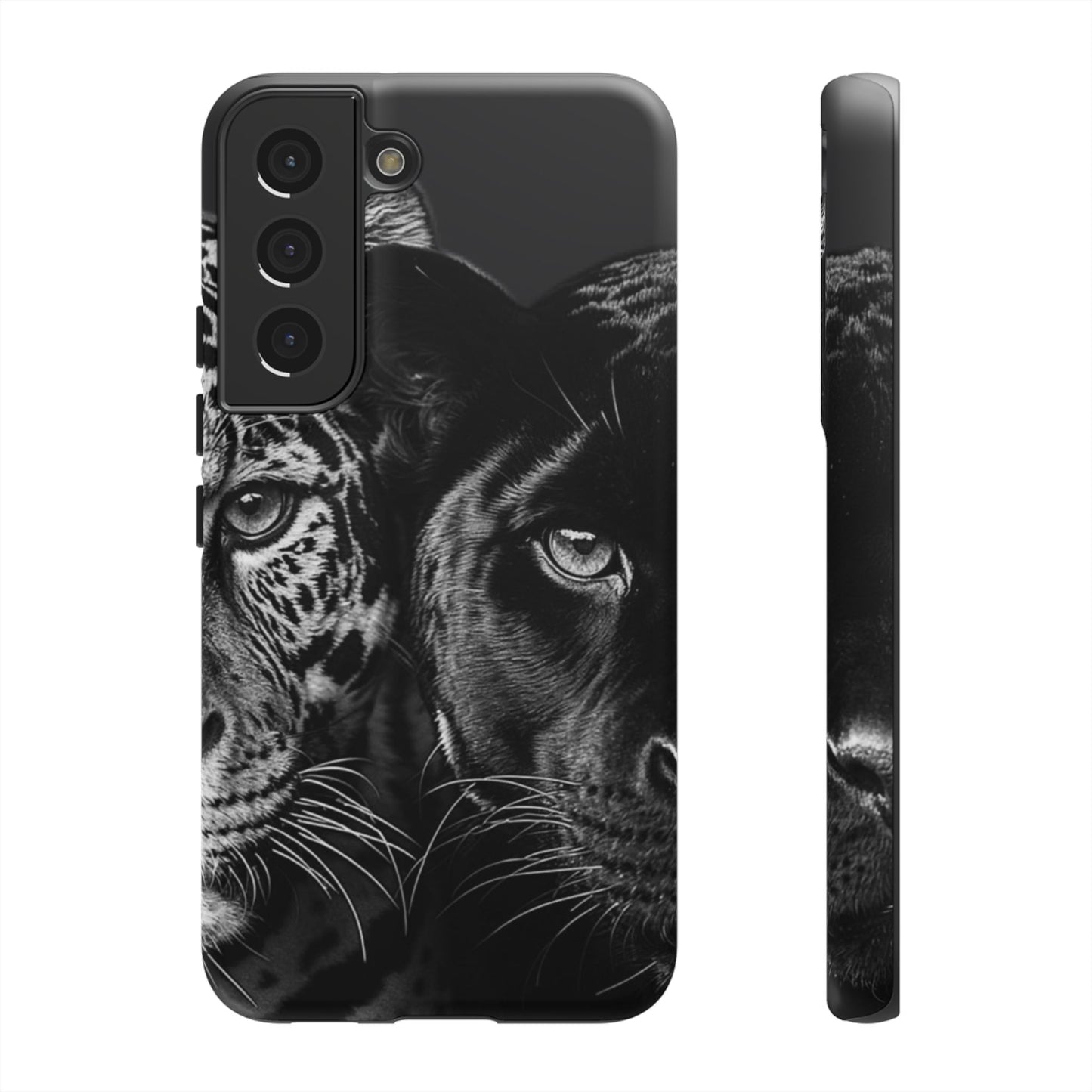 Panthera