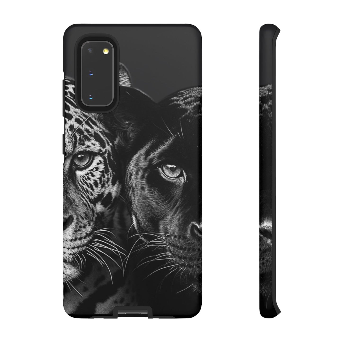 Panthera