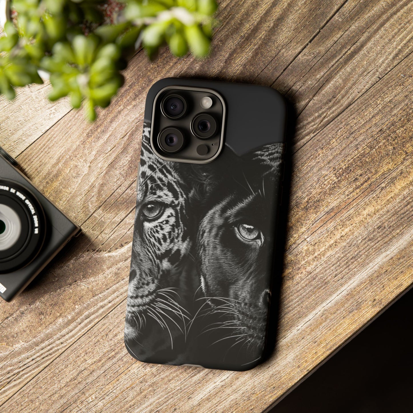 Panthera