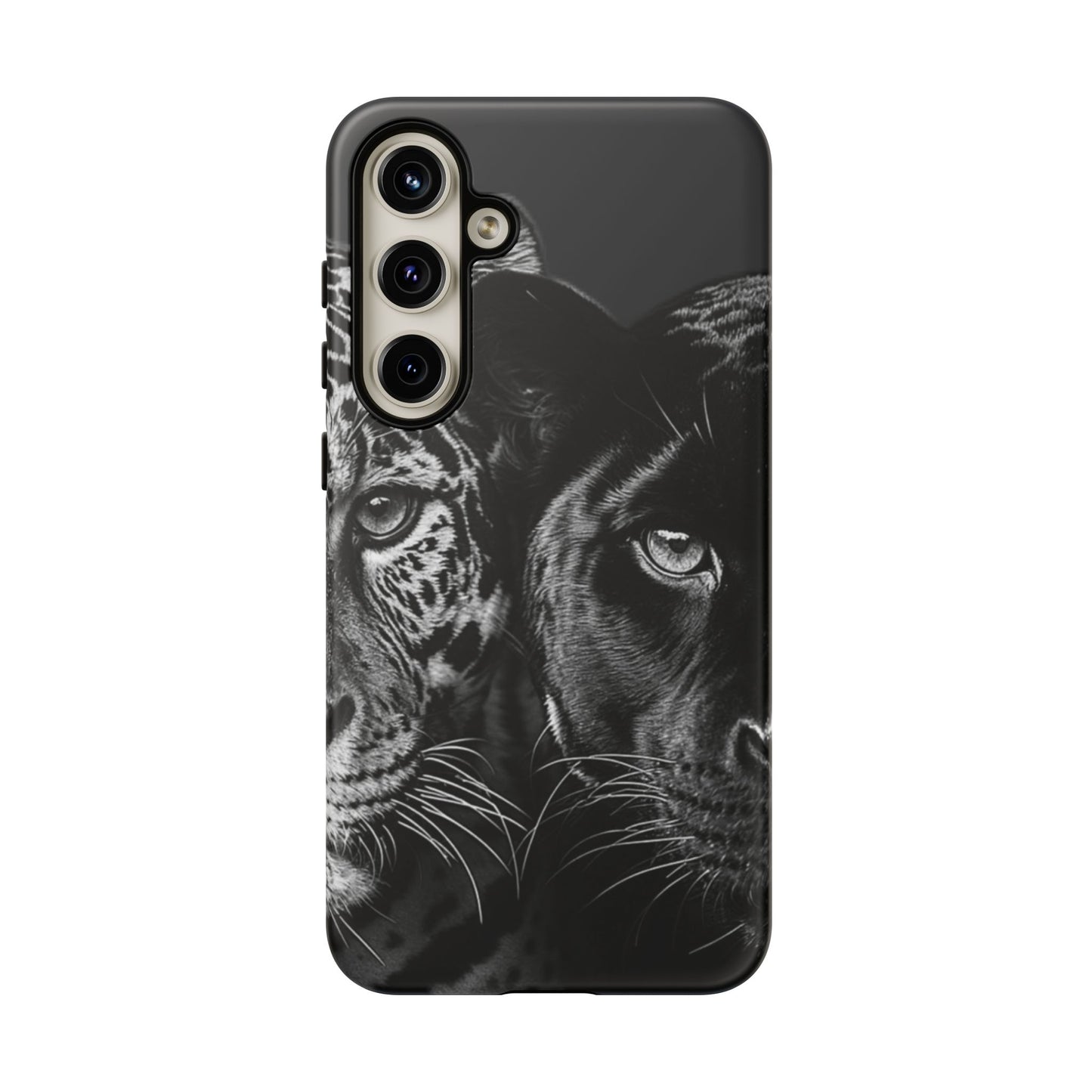 Panthera