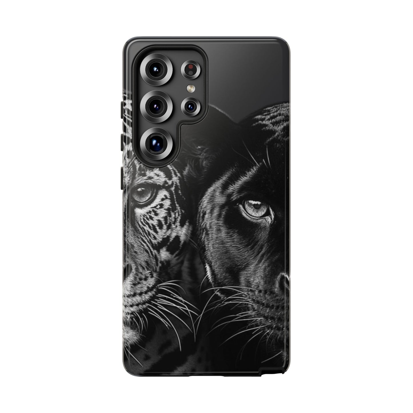 Panthera