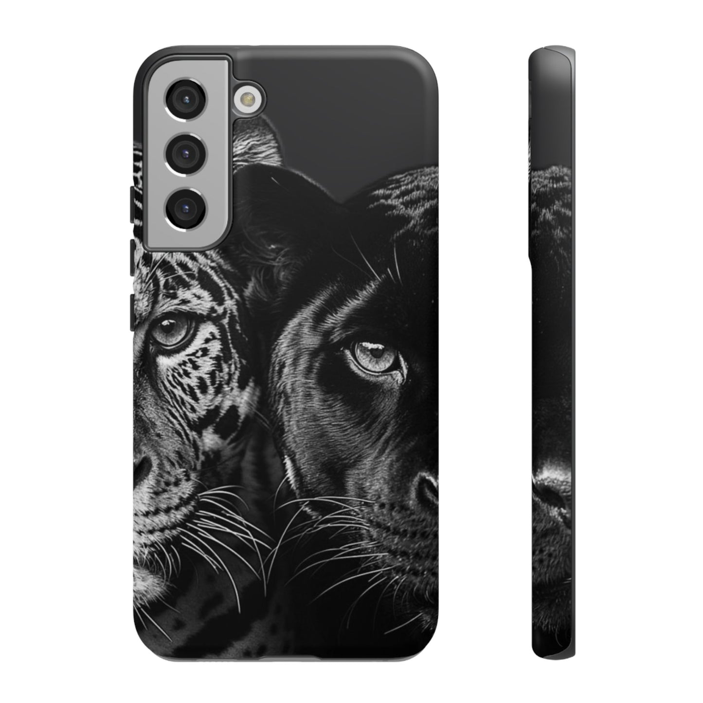 Panthera