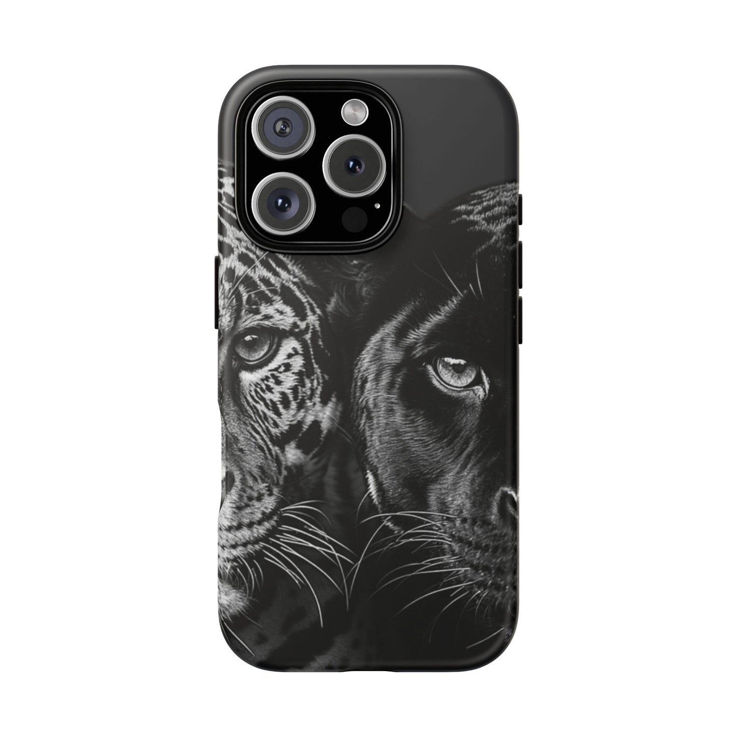 Panthera