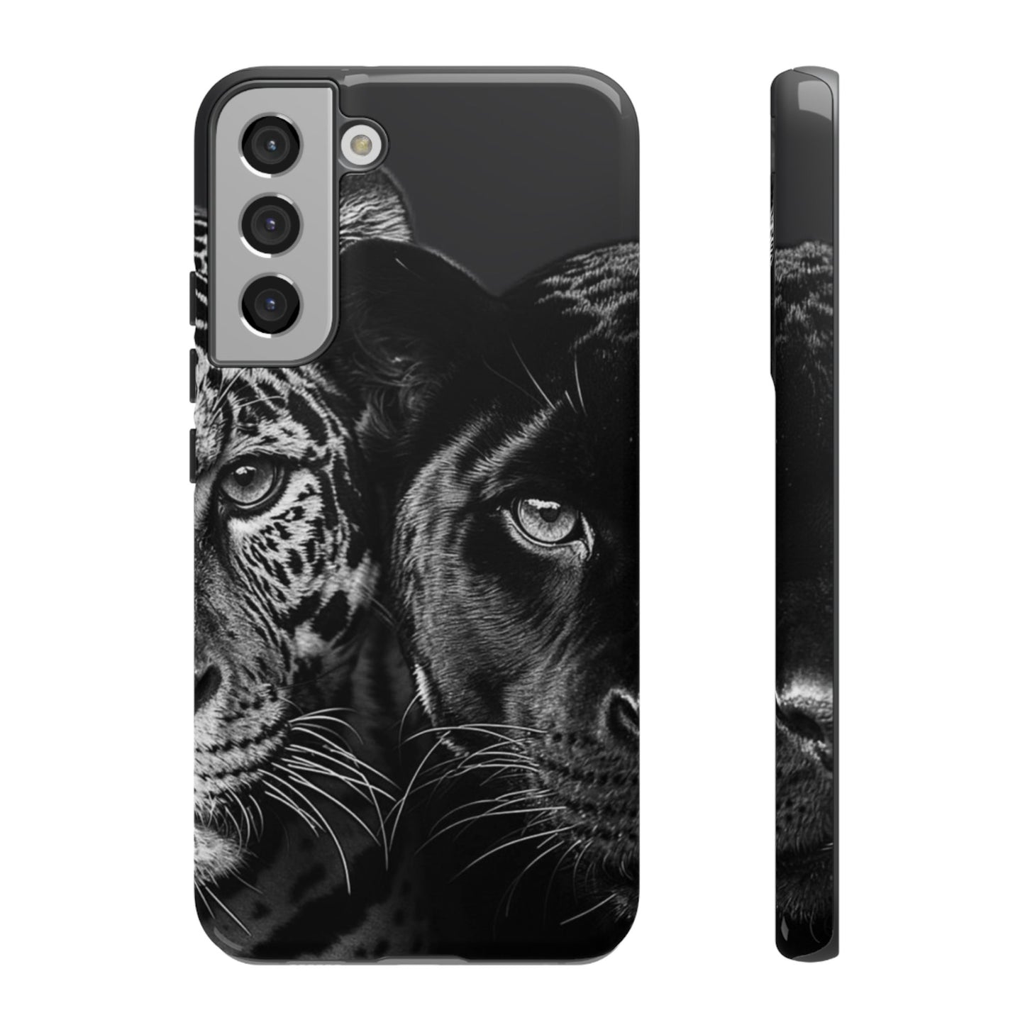 Panthera