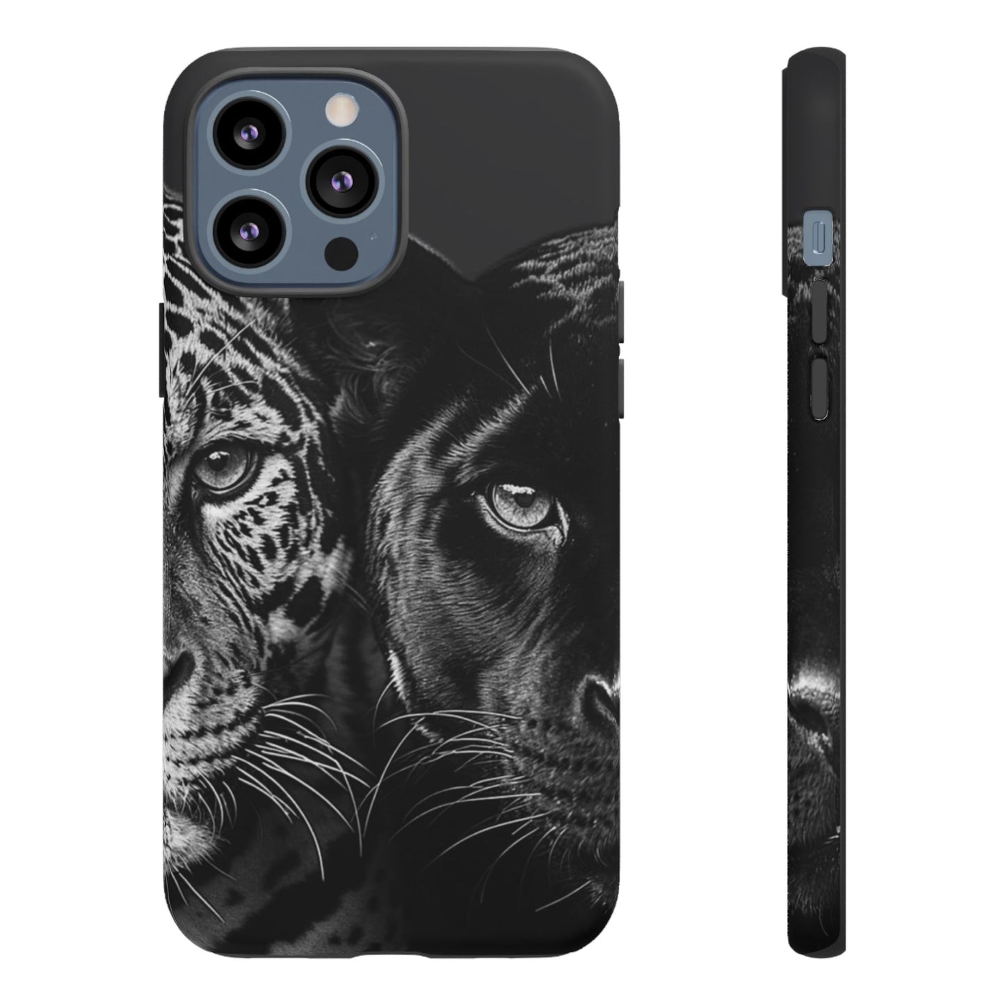 Panthera