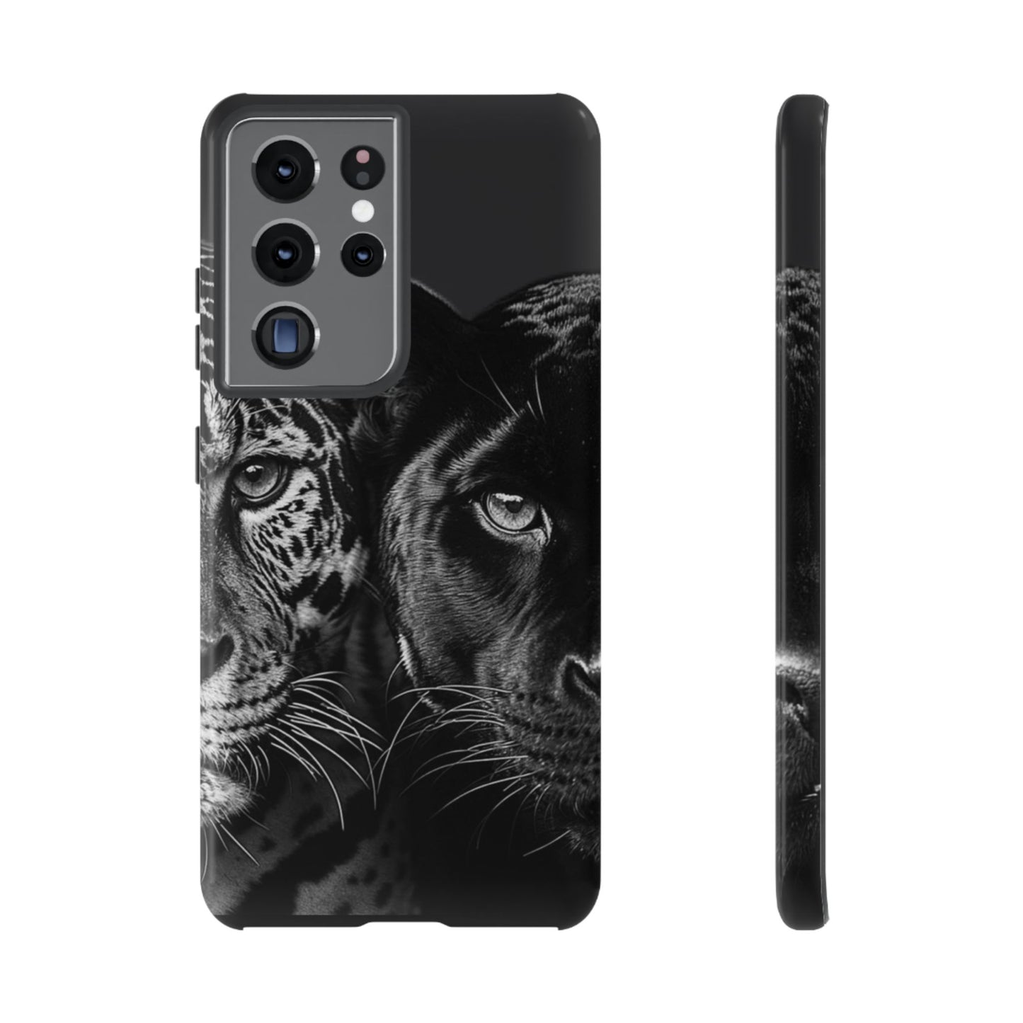 Panthera
