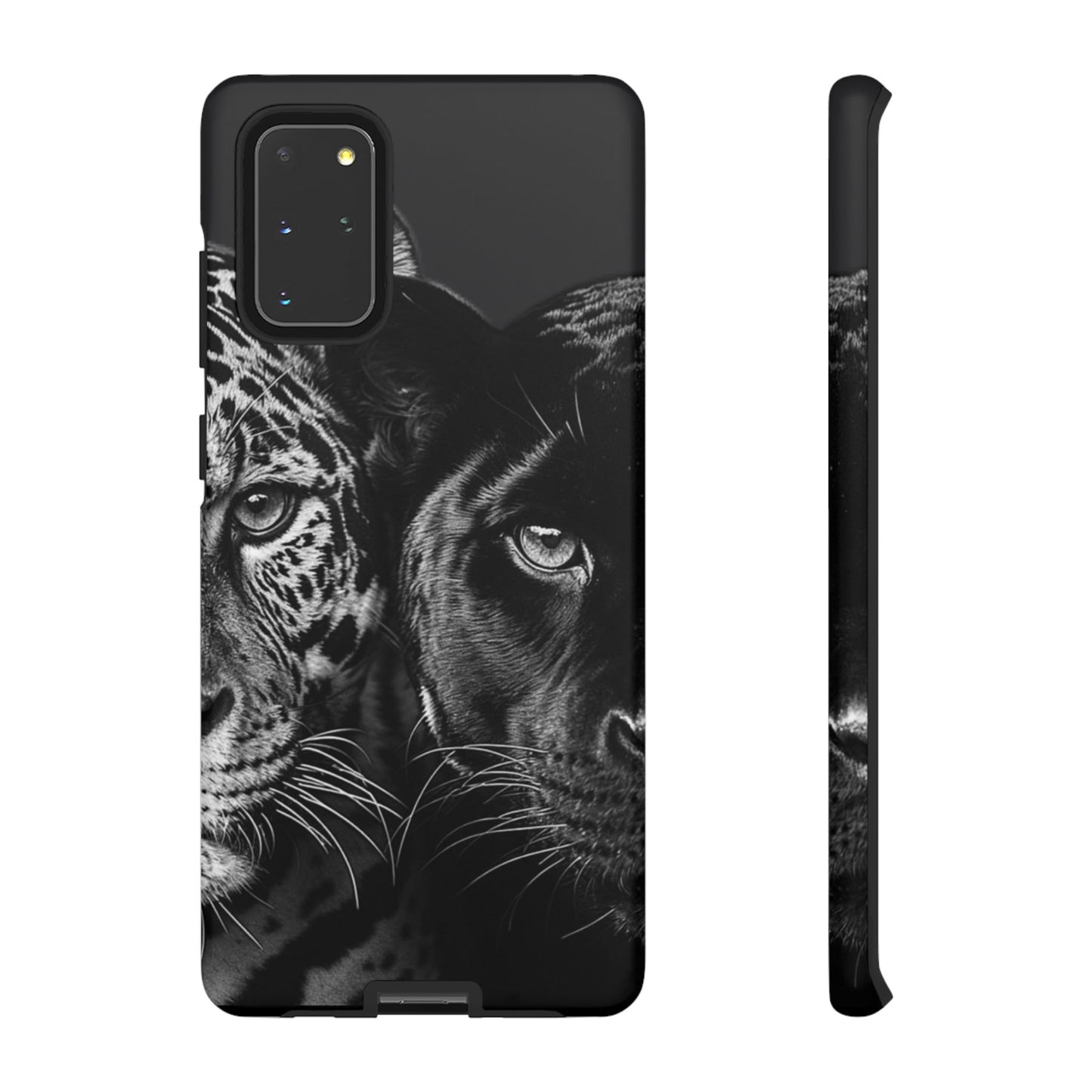 Panthera