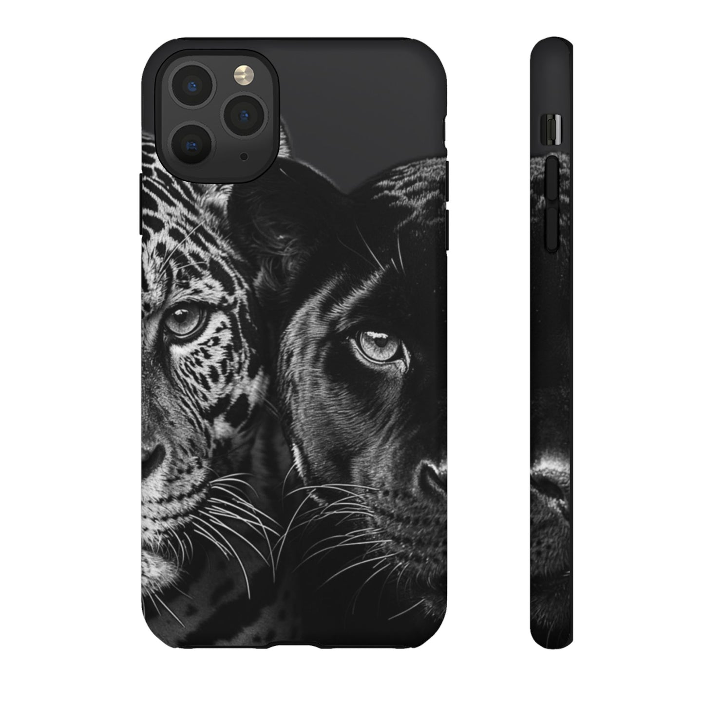 Panthera