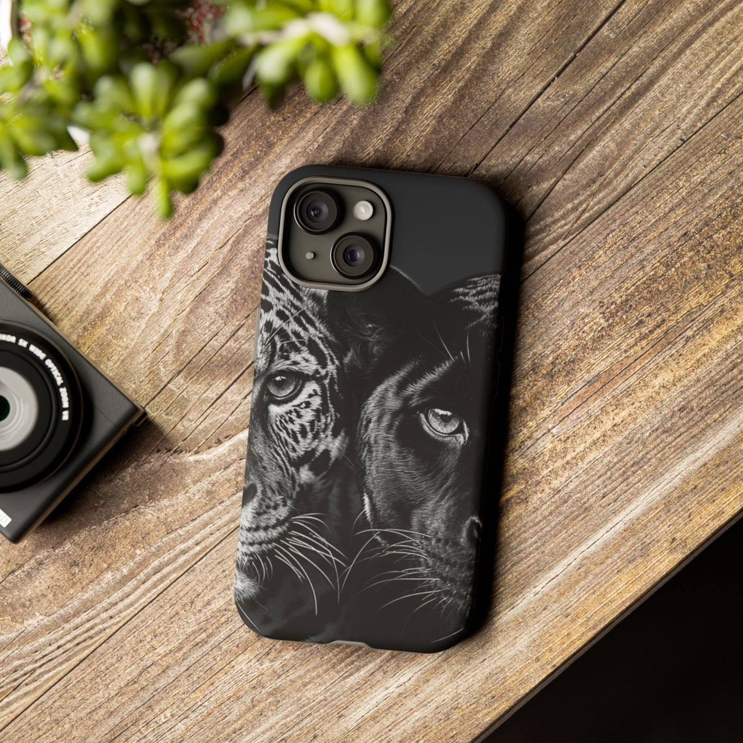 Panthera