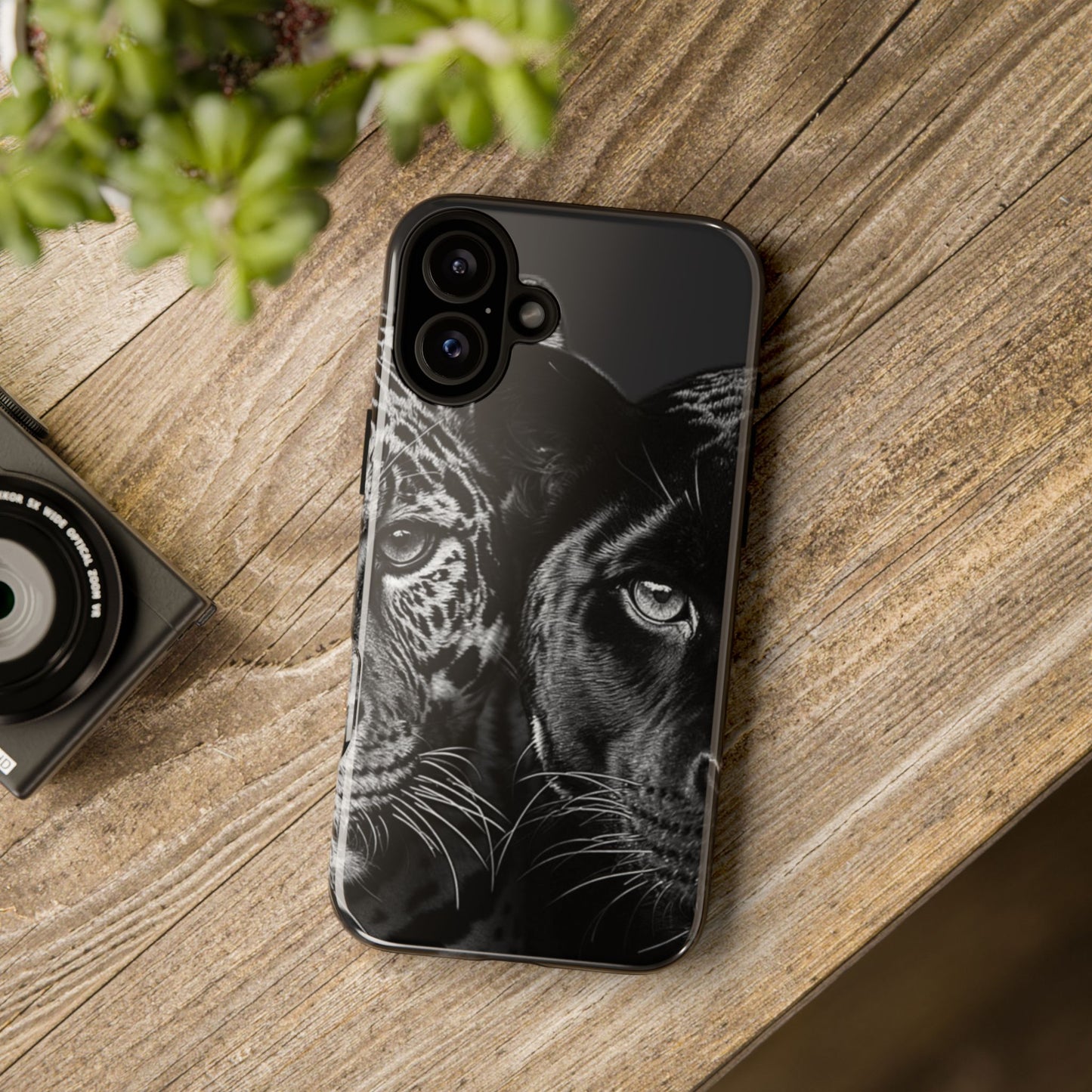 Panthera